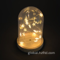 Other Decors Preserved Flower LED light with Plastic Cover for Home Decoration Manufactory